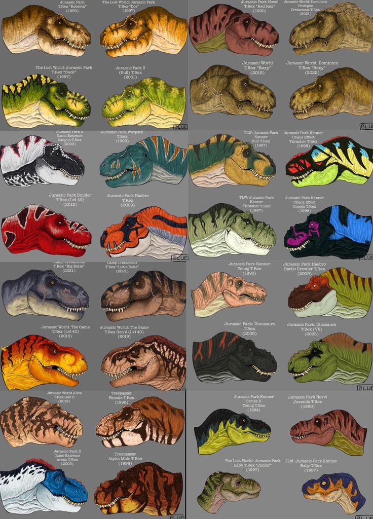 an image of different types of dinosaurs