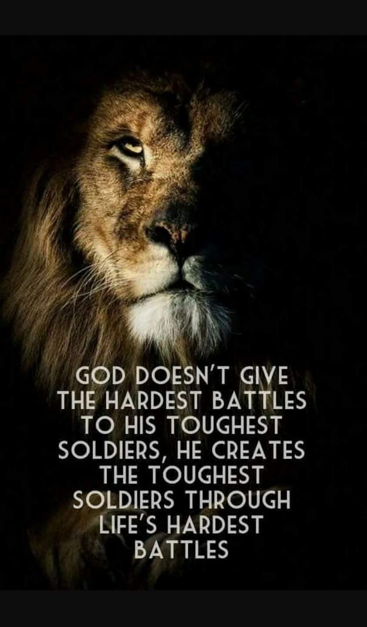 a lion with the quote god doesn't give the hardest battles to his toughest soldiers