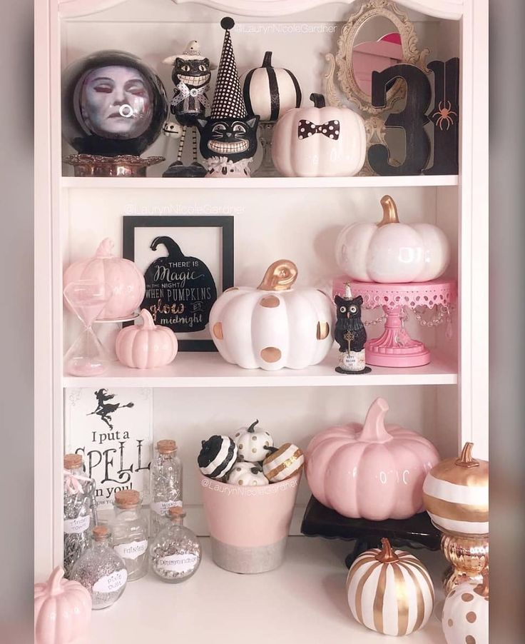 a white shelf filled with lots of different types of pumpkins and other decorative items