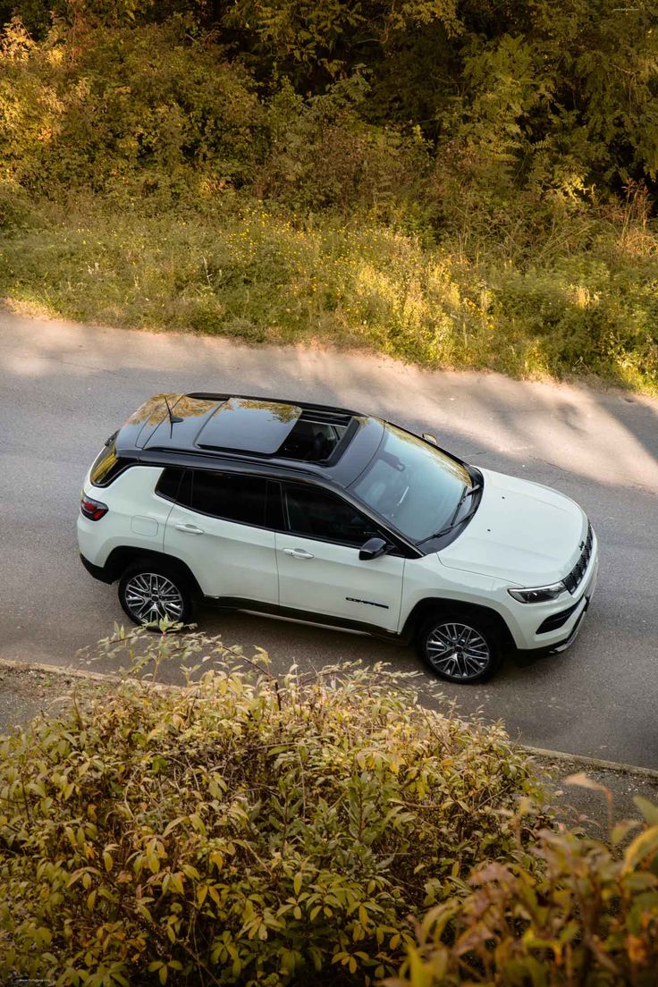 a white jeep parked on the side of a road in front of some bushes and trees