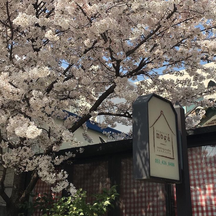 a sign that is in front of a tree with white flowers on it and a building behind it