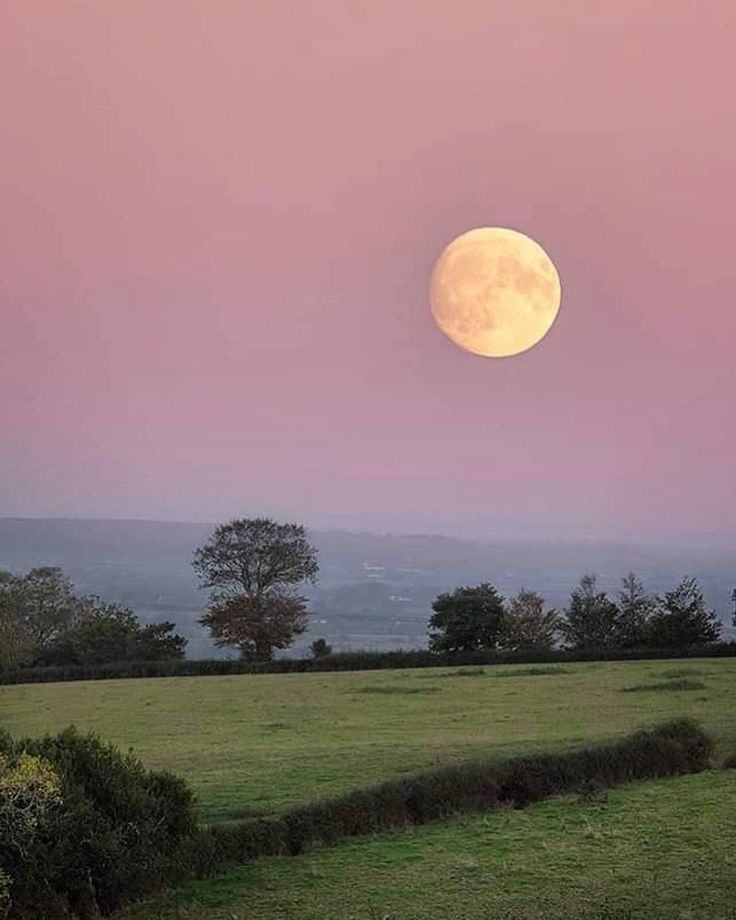 the full moon rises over a grassy field with trees in the foreground and pink sky above