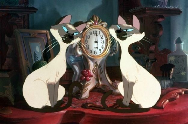 two siamese cats standing next to each other in front of a clock on a table