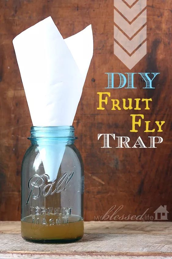 a mason jar with tissue paper in it and the words diy fruit fly trap