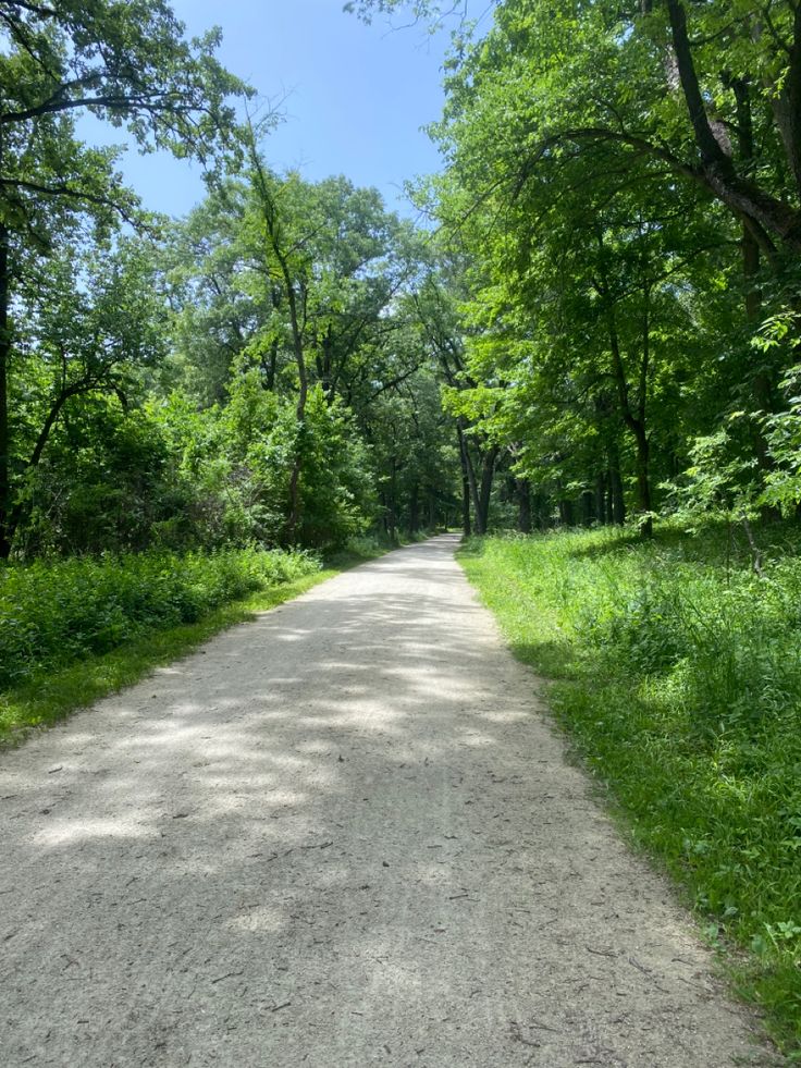 a dirt road surrounded by trees and grass