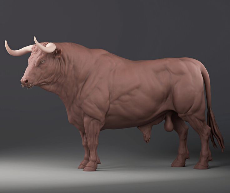 a brown bull with long horns standing on a gray background