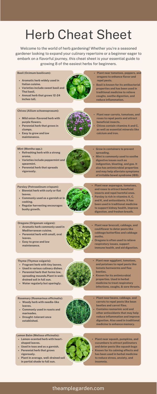 🌿 Discover the joy of herb gardening for beginners! 🌱 Whether you're a seasoned gardener or just starting out, this guide has everything you need to grow 8 easy-to-care-for herbs. From aromatic basil to soothing mint, learn how to cultivate a thriving herb garden right at home! #HerbGardening #Beginners #GardeningTips 🌱🌿 Medicinal Plants To Grow At Home, Herbs To Grow For Cooking, How To Start A Herb Garden, Beginner Medicinal Herb Garden, Herbs To Plant With Vegetables, How To Grow Peppermint, Gardening Herbs For Beginners, Herbs To Grow In Garden, Garden Tips For Beginners