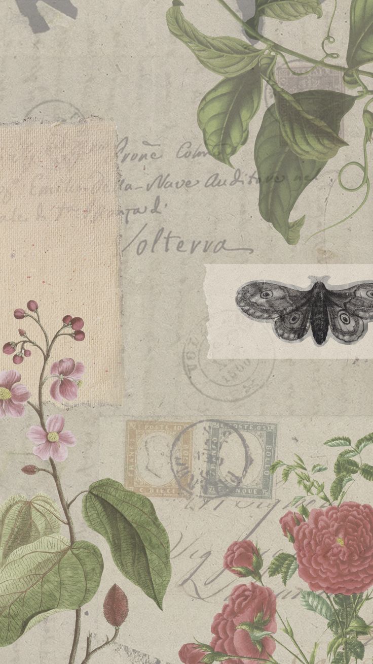 an old postcard with flowers and moths on it's side, along with some writing