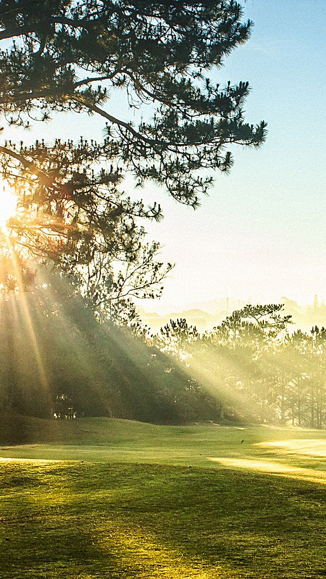 the sun shines brightly through the trees on this golf course
