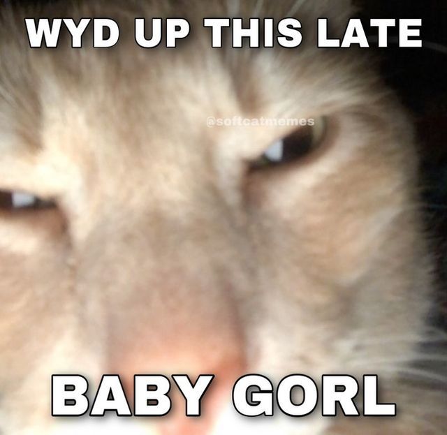 a close up of a cat's face with the caption baby gol