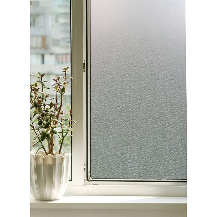 a potted plant sitting on top of a window sill next to a glass door