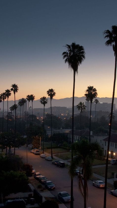 palm trees line the street in front of a city at dusk with mountains in the background