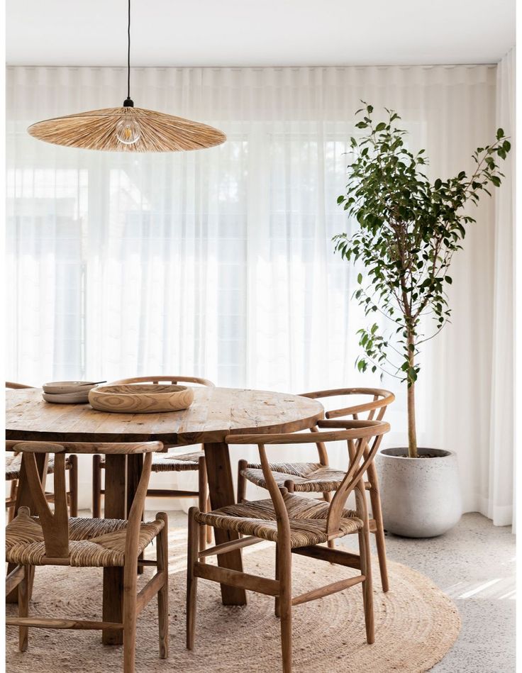 a dining room table with chairs and a potted plant