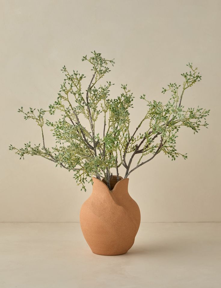 a plant in a brown vase on a white tableclothed surface, with the stems sprouting out from it