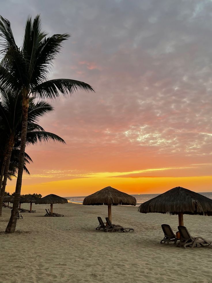 palm trees on the beach at sunset with chairs and umbrellas in the foreground