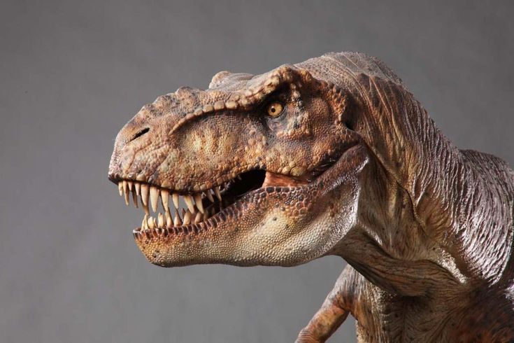 a close up of a dinosaur with its mouth open and teeth wide open in front of a gray background