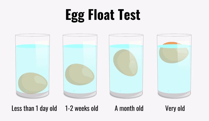 three glasses filled with blue liquid and an egg next to each other on a white background