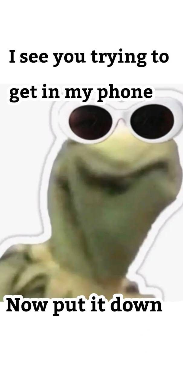 the frog is wearing sunglasses and saying i see you trying to get in my phone now put it down