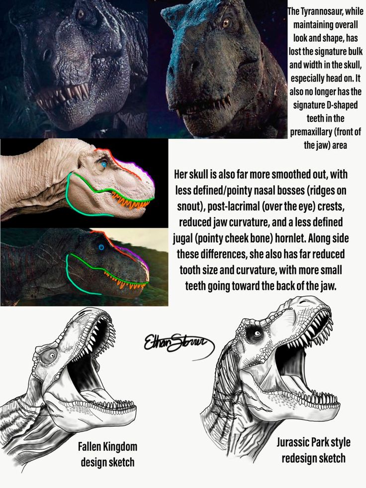 an image of dinosaurs with their teeth and mouths