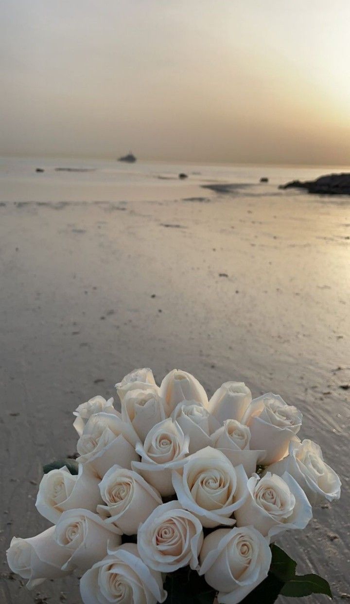 a bouquet of white roses sitting on top of a sandy beach next to the ocean