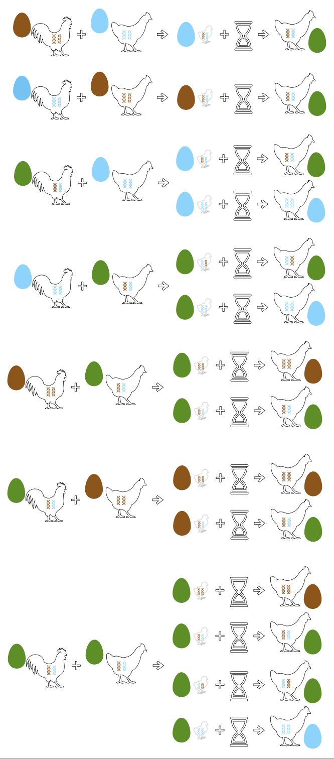 the numbers and symbols for different types of birds