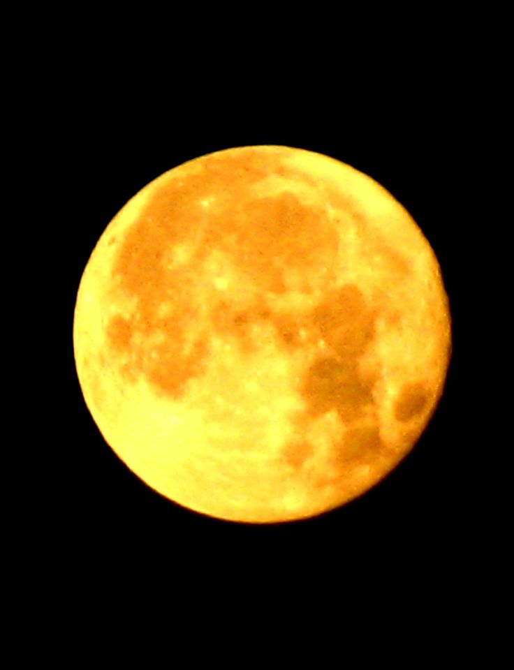 the full yellow moon is seen in the dark night sky with no clouds on it