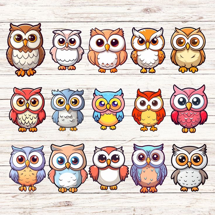 an assortment of owls sitting on top of a wooden floor with different colors and sizes