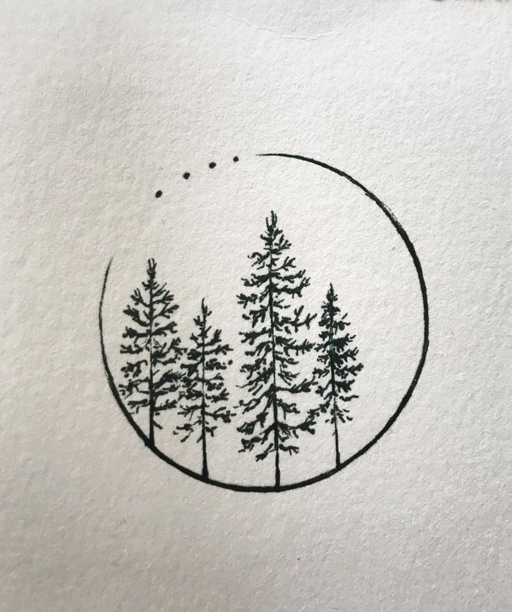 a drawing of some trees in a circle