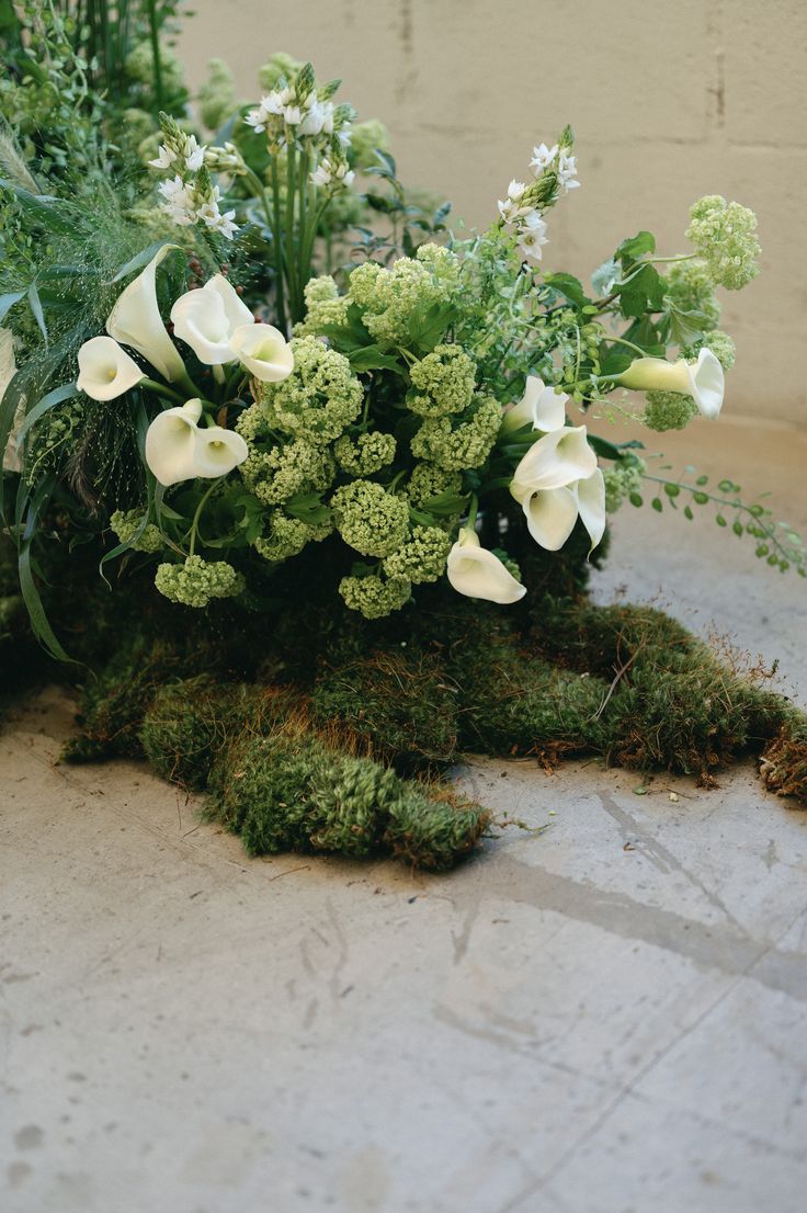 some white flowers and green plants on the ground