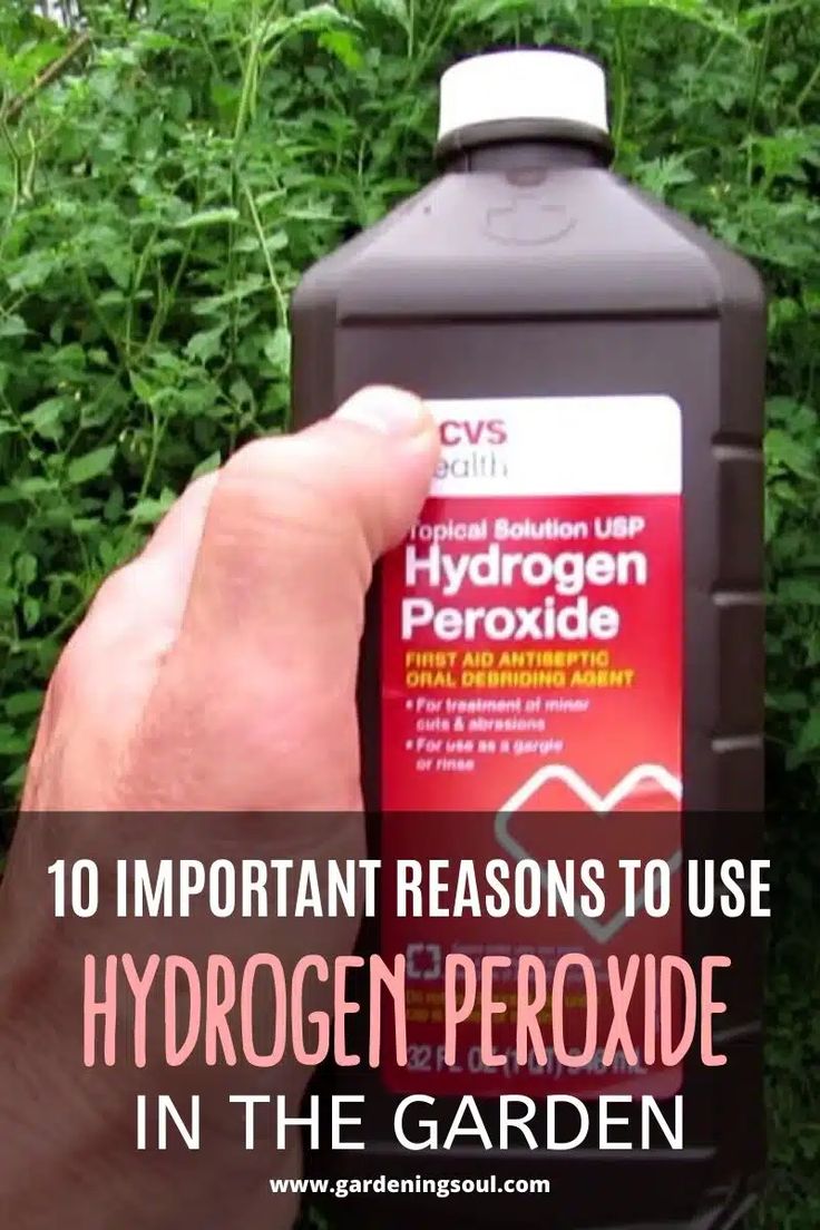 a hand holding a bottle of hydrogen in front of some bushes with the words 10 important reasons to use hydrogen peroxide in the garden