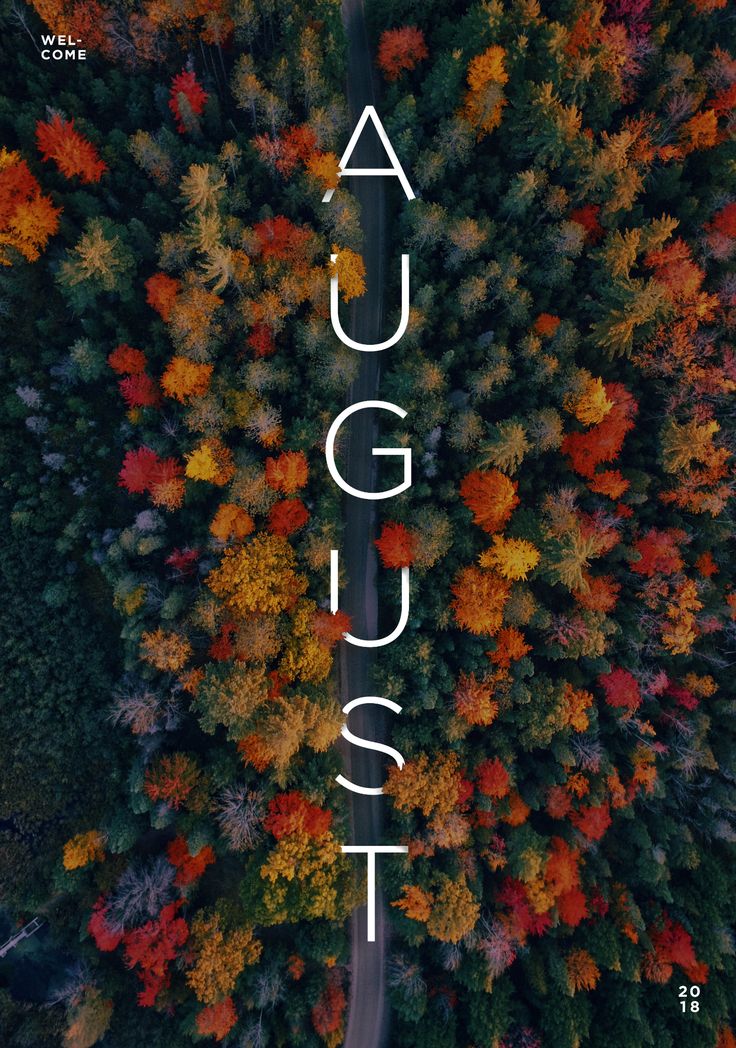 an aerial view of trees with the words august above them