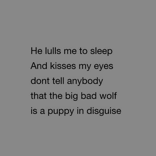 a black and white photo with the words he pulls me to sleep and kisses my eyes don't tell anybody that the big bad wolf is a puppy in disguise