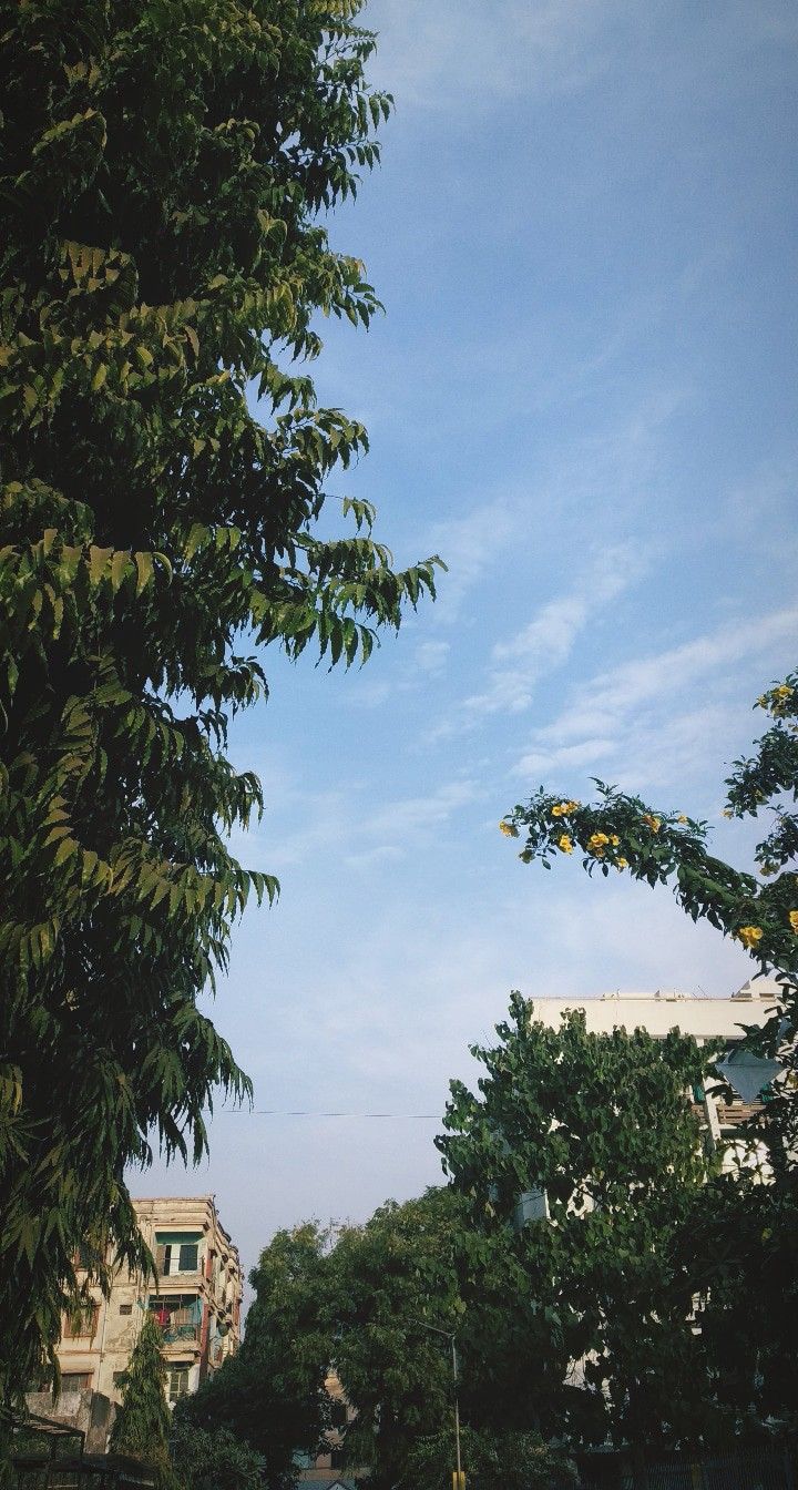 a clock tower in the distance with trees around it