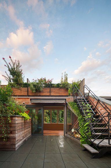 an outdoor space with stairs and plants on the roof