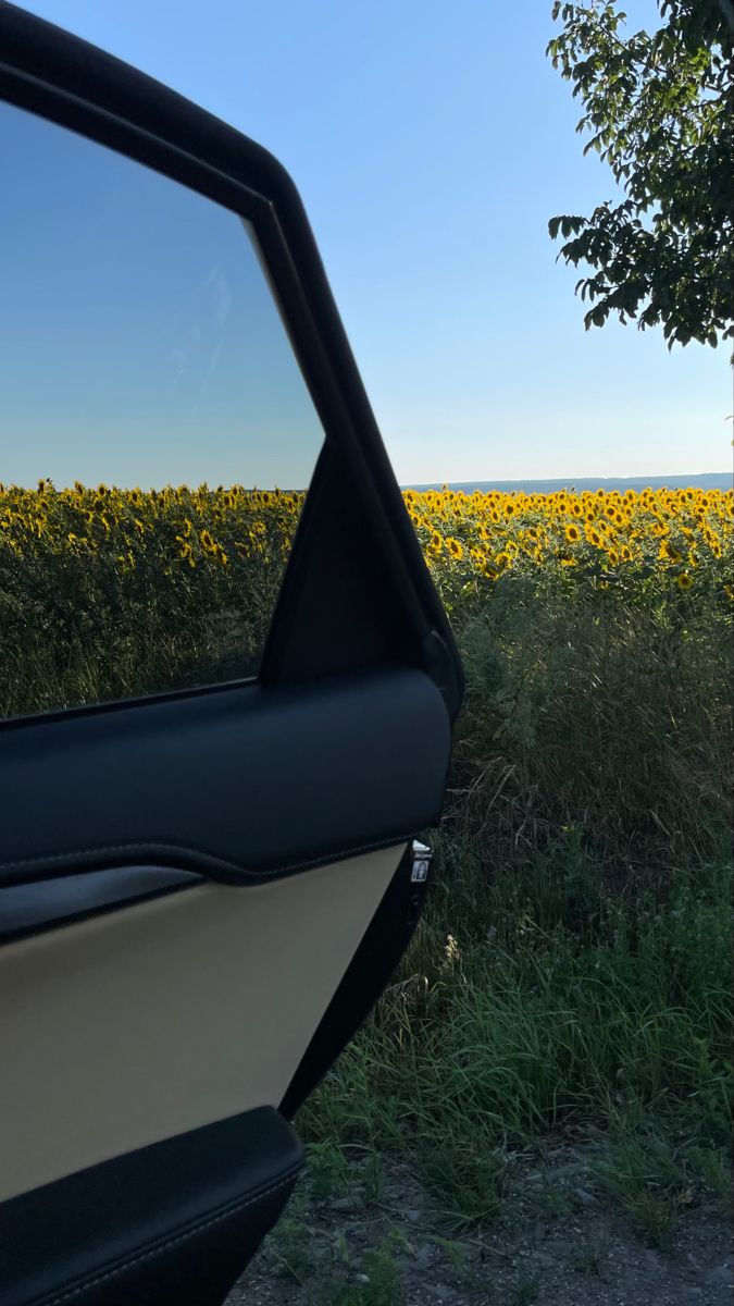 the sunflowers can be seen through the side window of a vehicle's door