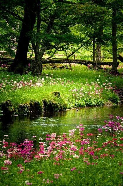 a stream running through a lush green forest filled with lots of pink and white flowers