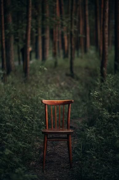 a wooden chair sitting in the middle of a forest