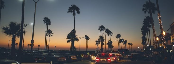 palm trees line the street as cars drive by at dusk in california, united states