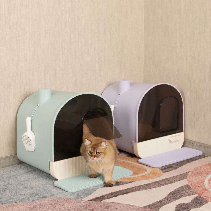 a cat is sitting in an open litter box on the floor next to another one