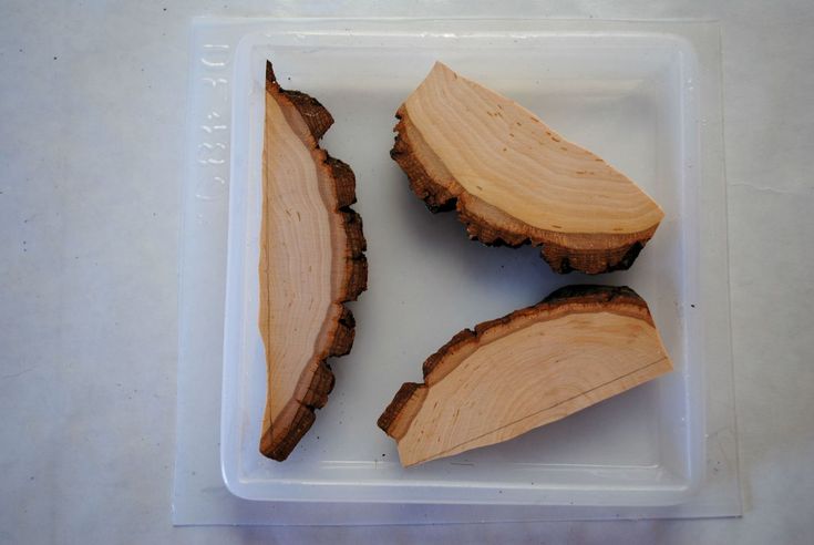 three slices of wood sitting on top of a plastic container