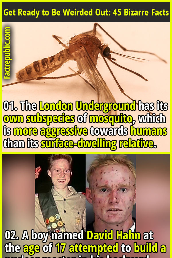 two pictures with words describing the different types of mosquitoes and what they mean to them