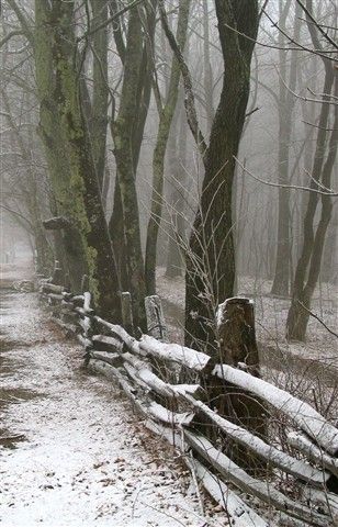 a snow covered path in the woods next to a wooden fence with trees on both sides