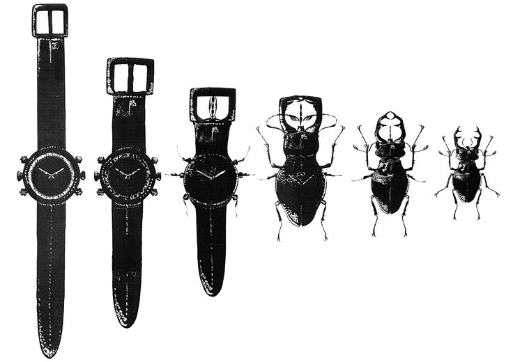 four different types of bugs are shown in this black and white photo, each with a watch face