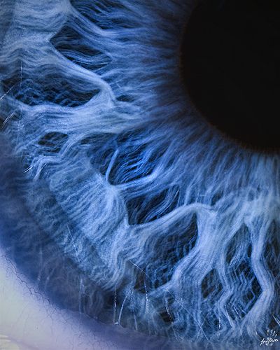 the iris of an eye is shown in this close - up photo, which appears to be blue