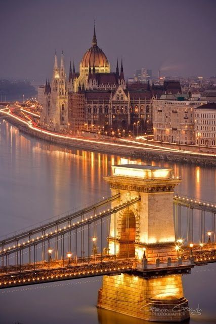 the bridge is lit up at night with lights on it