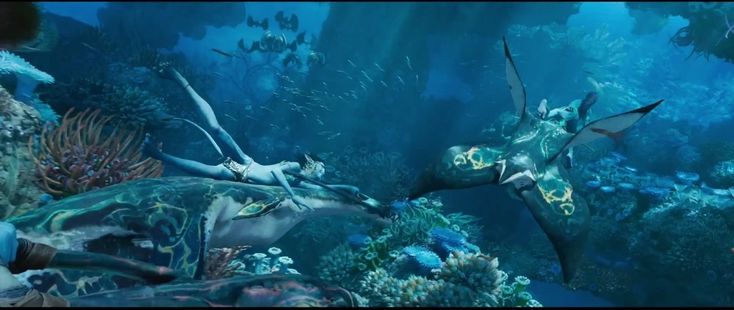 an underwater scene with fish and other marine life in the water, including sea creatures