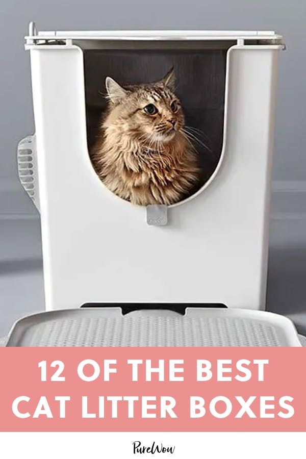 a cat sitting inside of a white litter box with the words 12 of the best cat litter boxes