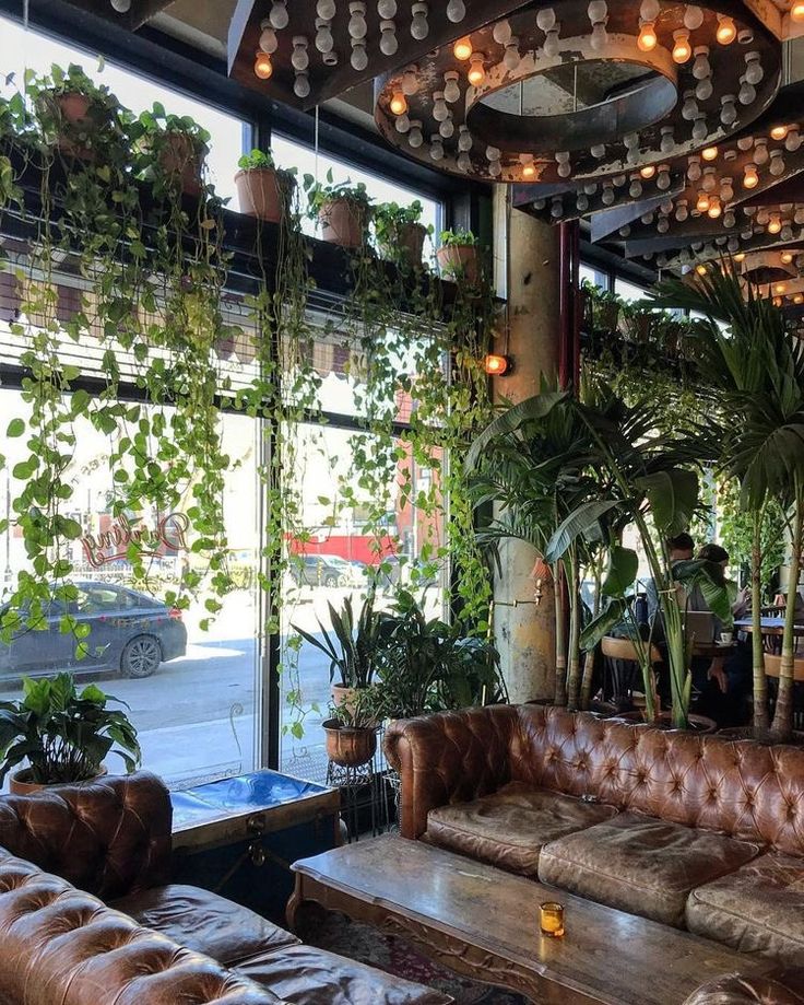 a living room filled with lots of potted plants