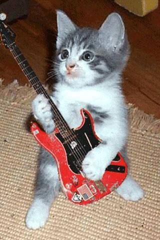 a kitten playing with an electric guitar on the floor