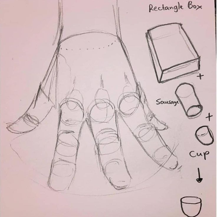 the drawing shows how to draw hands with different shapes and sizes